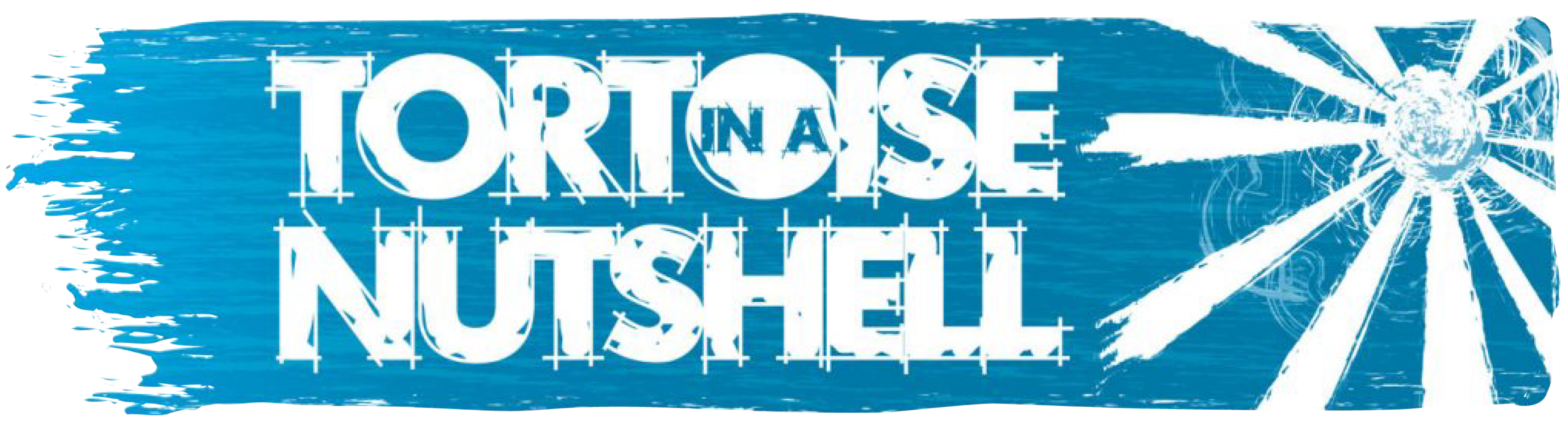 Self-Producing Workshop 1 Tortoise in a Nutshell logo